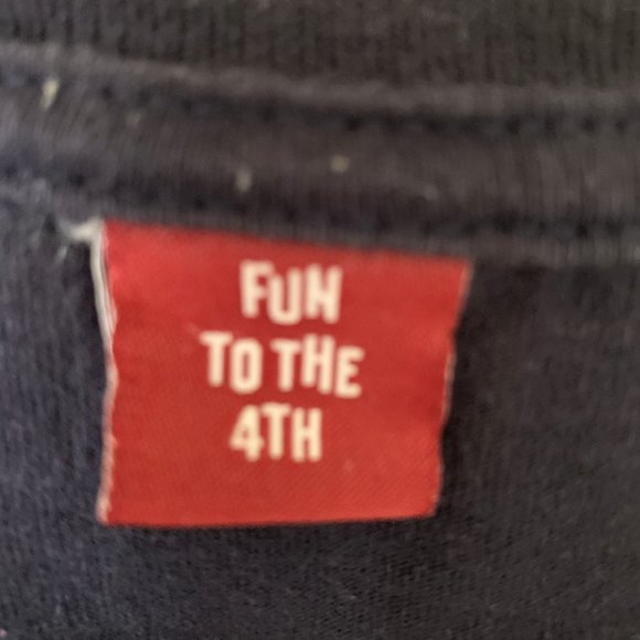 FUN TO THE 4TH Patriotic Eagle Graphic Tee Mens XL - Picture 3 of 4